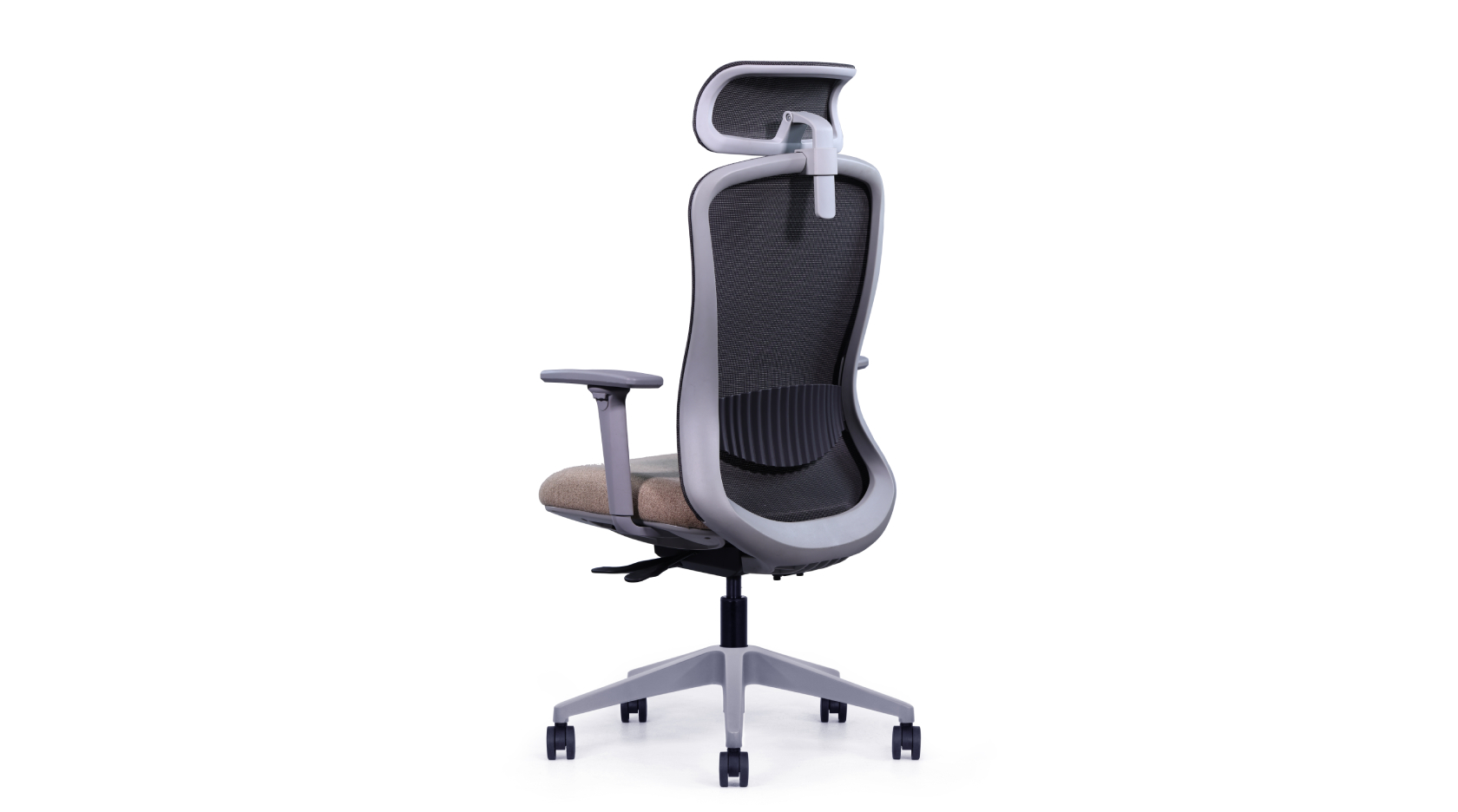 Torq 01